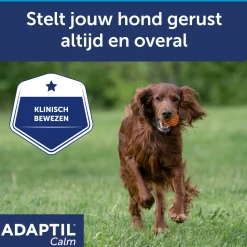 Adaptil Calm Halsband