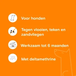 Adimere Vlooien- en Tekenband Hond