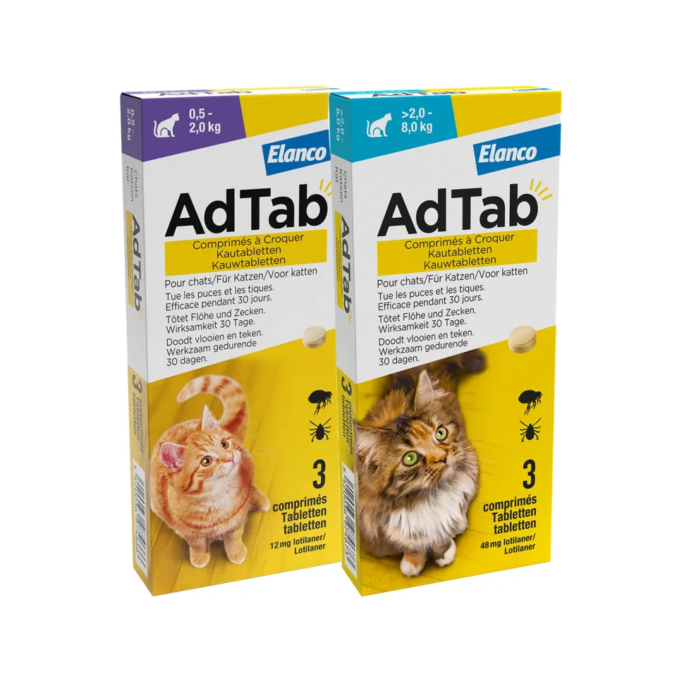 AdTab Kauwtabletten Kat