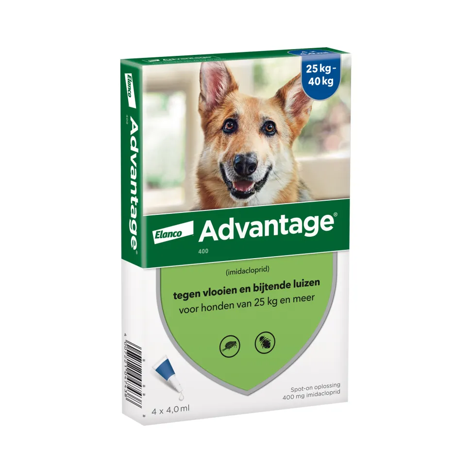 Advantage Hond