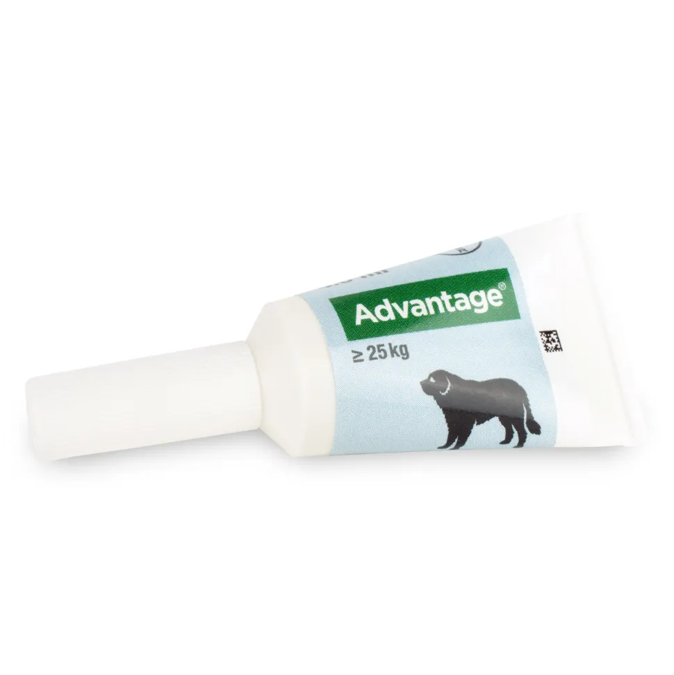 Advantage Hond