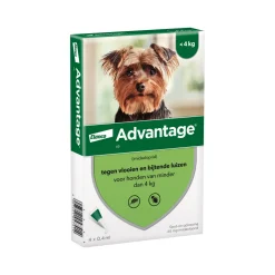 Advantage Hond