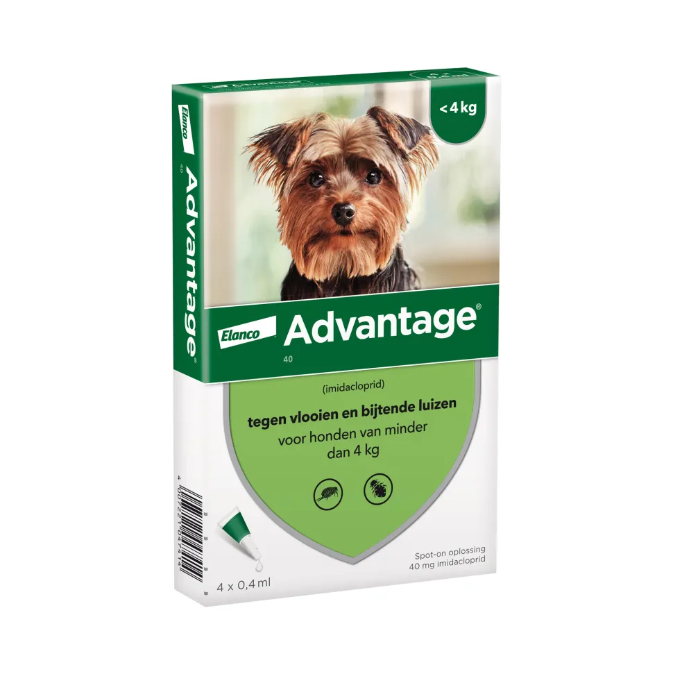 Advantage Hond