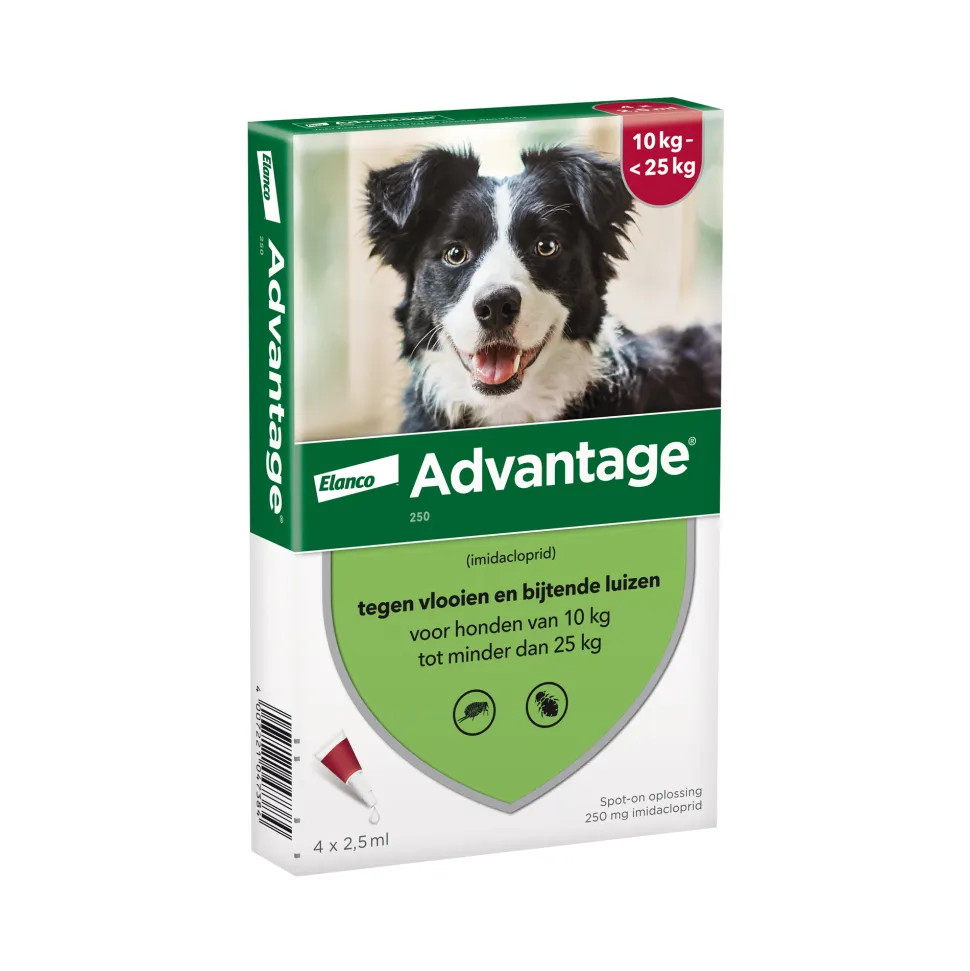 Advantage Hond