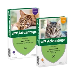 Advantage Kat