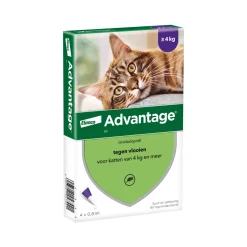 Advantage Kat