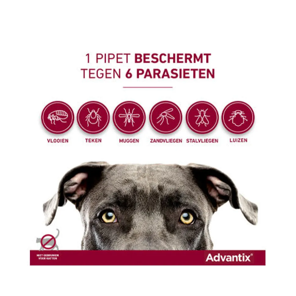 Advantix