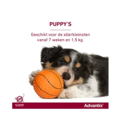 Advantix