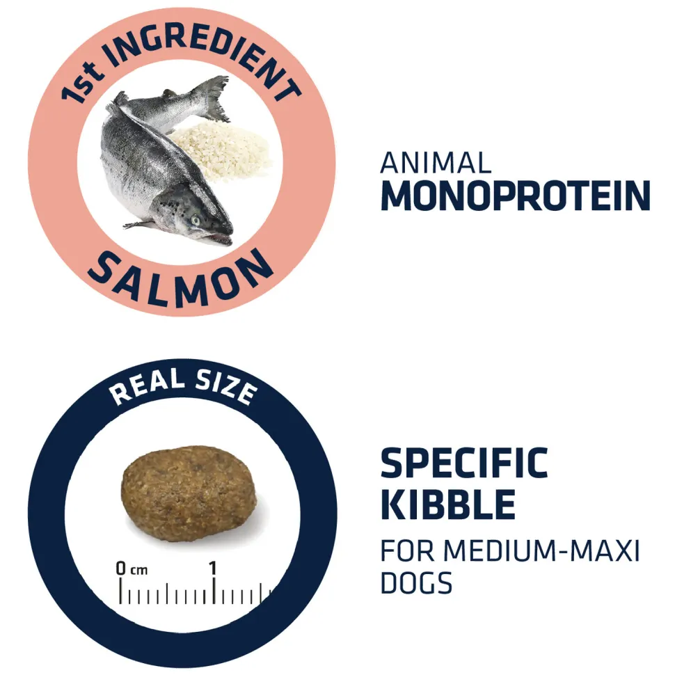 Affinity Advance Sensitive Medium-Maxi Zalm en Rijst - Hond