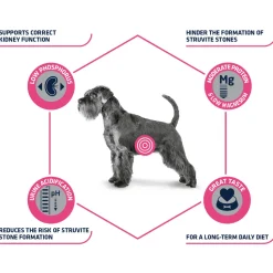 Affinity Advance Veterinary Diets Urinary Hond