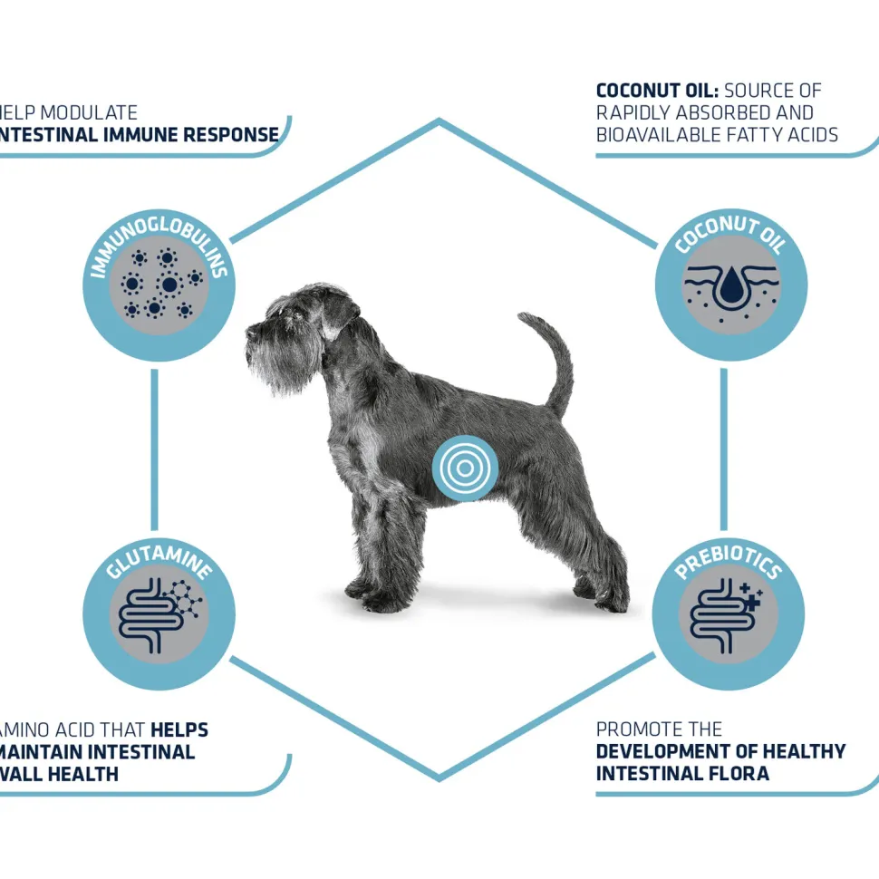 Affinity Advance Veterinary Diets Gastroenteric Hond