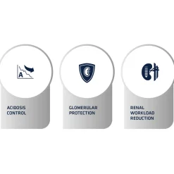 Affinity Advance Veterinary Diets Renal Hond