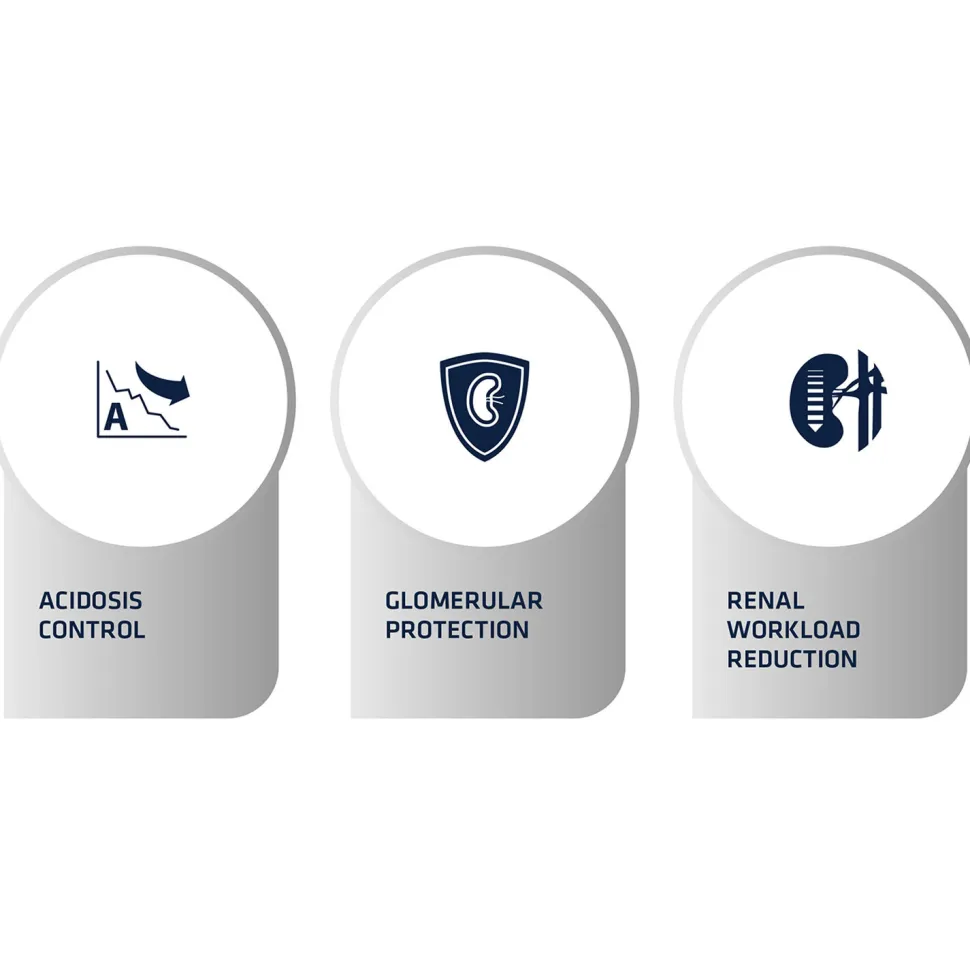 Affinity Advance Veterinary Diets Renal Hond
