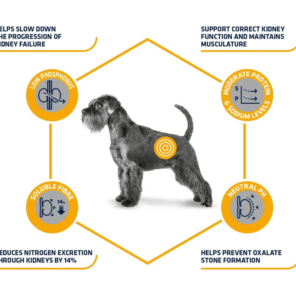 Affinity Advance Veterinary Diets Renal Hond