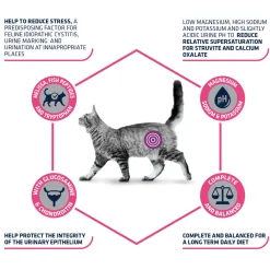 Affinity Advance Veterinary Diets Urinary Stress Kat