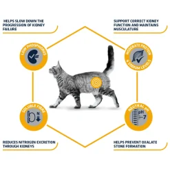 Affinity Advance Veterinary Diets Renal Kat