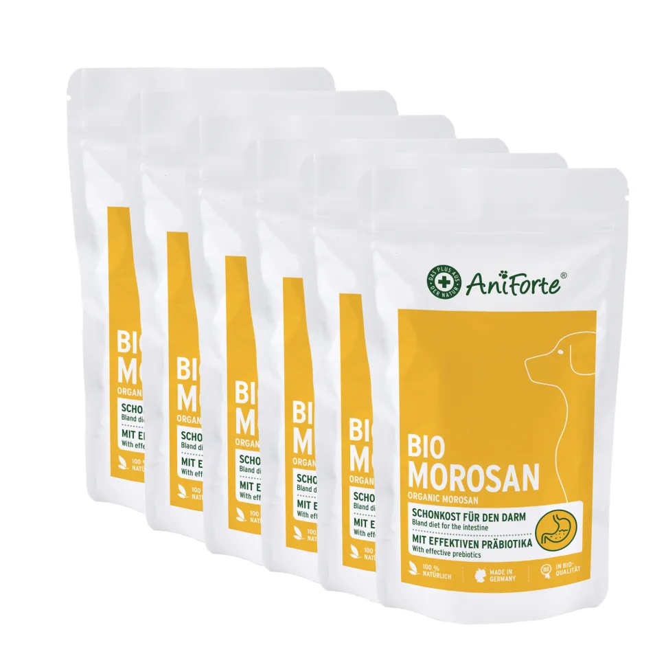 AniForte Bio Morosan