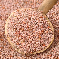 AniForte Indiase Psylliumzaad Paard