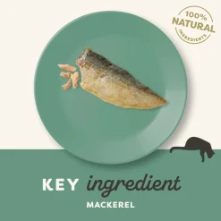 Applaws Cat - Mackerel Loin
