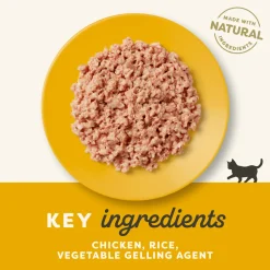 Applaws Kitten - Wet Food