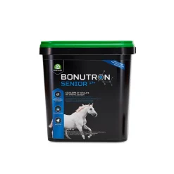 Audevard Bonutron Senior 17+