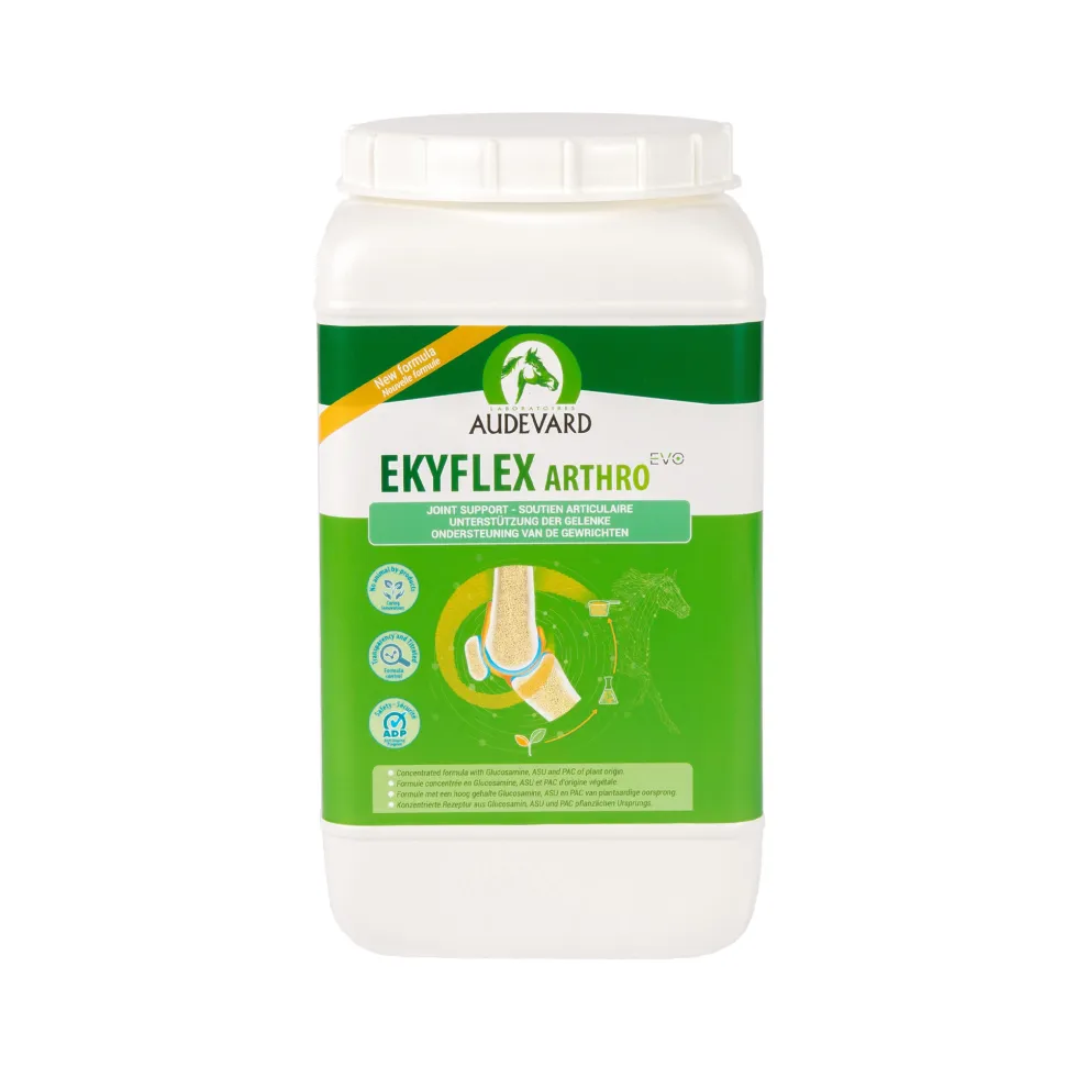 Audevard Ekyflex Arthro EVO