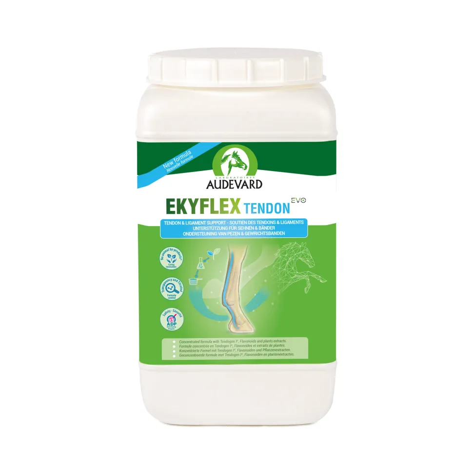 Audevard Ekyflex Tendon EVO