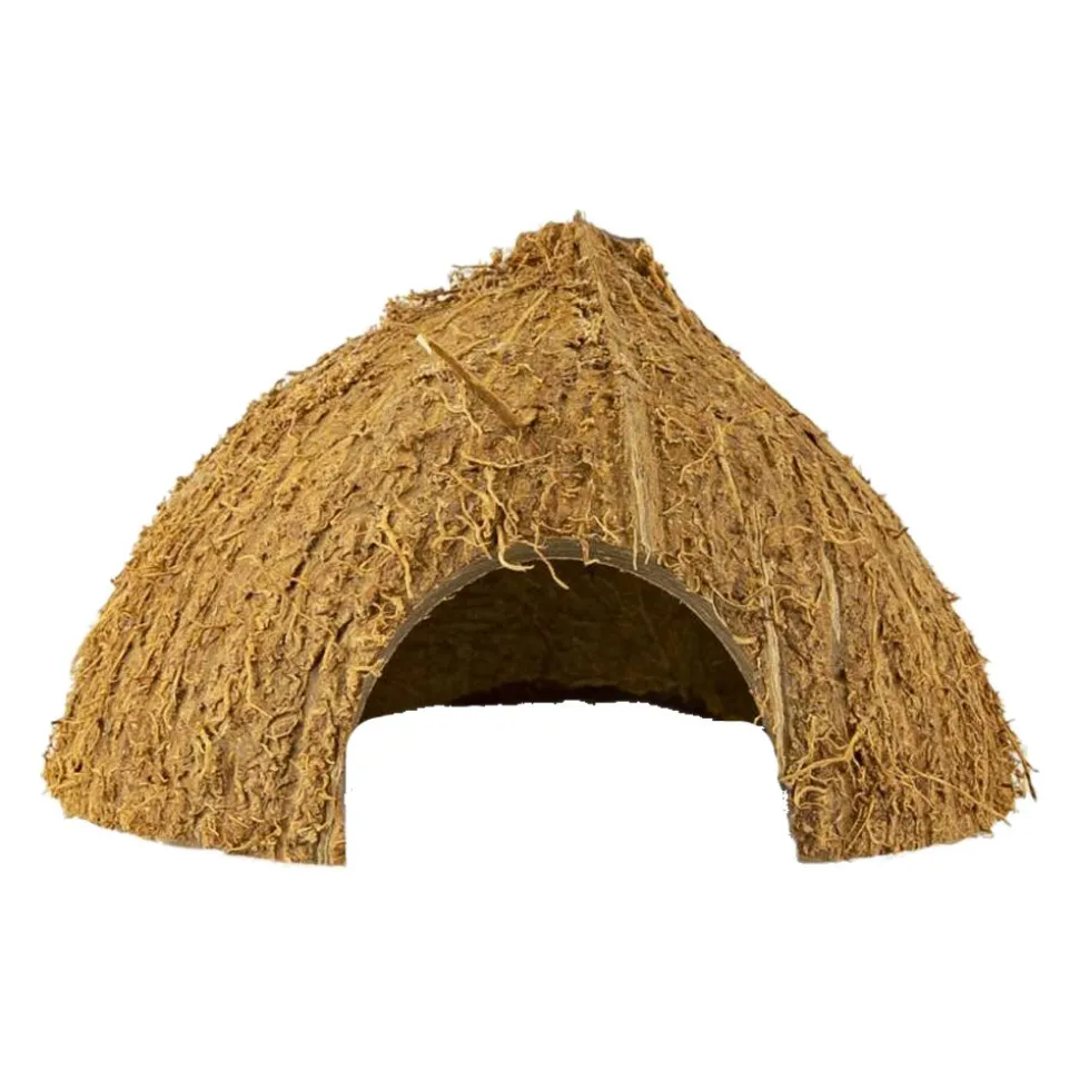 Back Zoo Nature Coco Hiding Cave