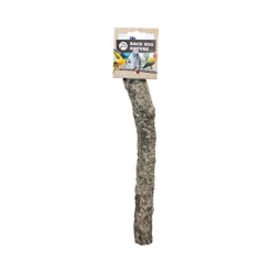 Back Zoo Nature Corky Perch
