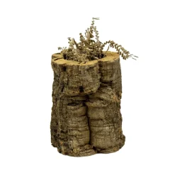 Back Zoo Nature Crinkle Paper