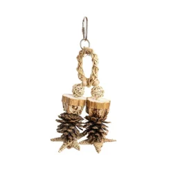 Back Zoo Nature Forest Ring