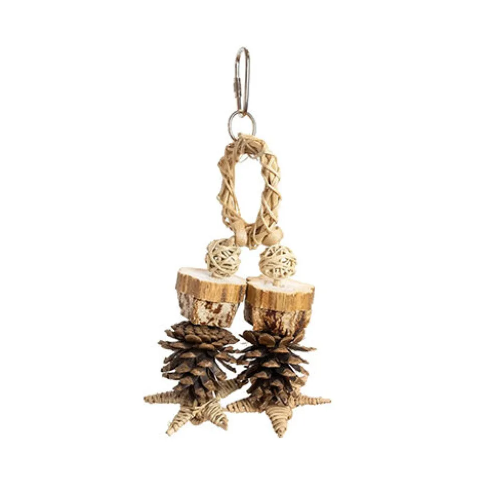 Back Zoo Nature Forest Ring