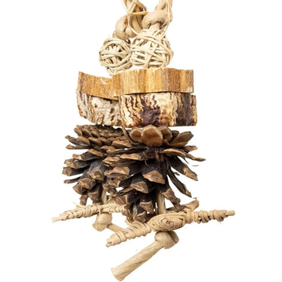 Back Zoo Nature Forest Ring