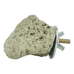 Back Zoo Nature Java Lava