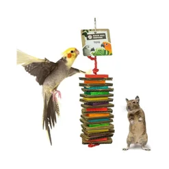 Back Zoo Nature Shredding Slices