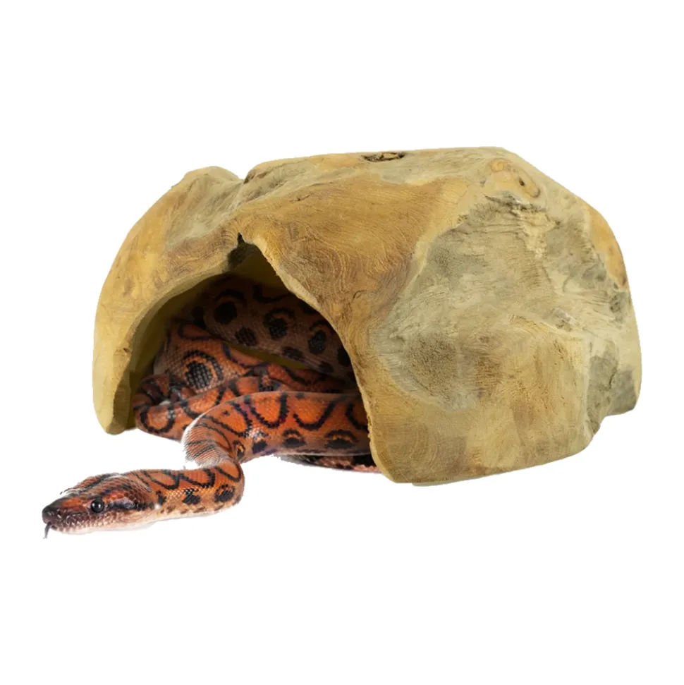 Back Zoo Nature Teaky House