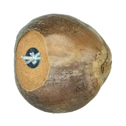 Back Zoo Nature Villa Coconuts