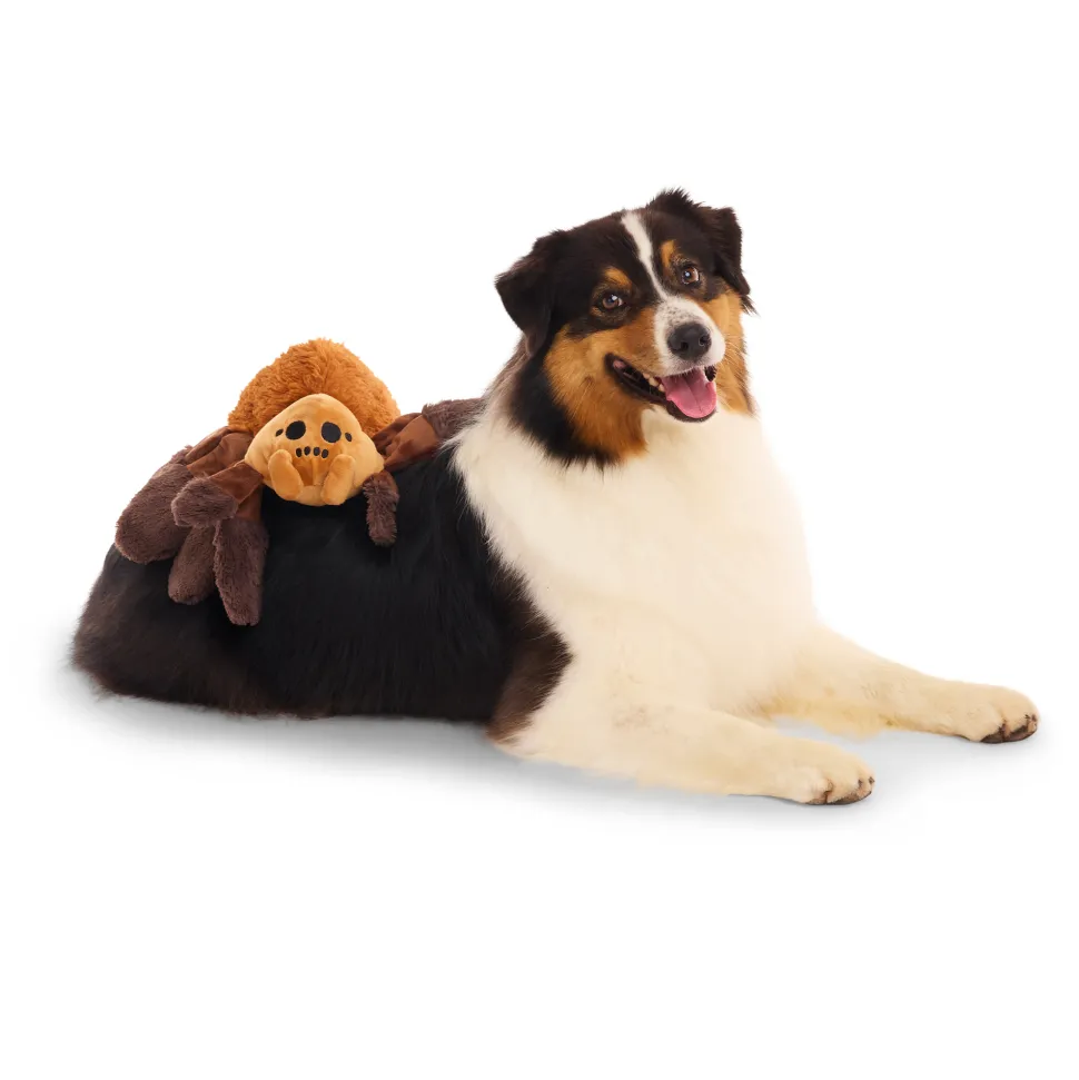 Bark Harry Potter Aragog Knuffel