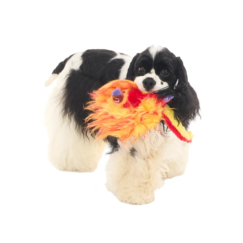 Bark Harry Potter Fawkes Knuffel