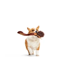 Bark Harry Potter Nimbus 2000 Knuffel