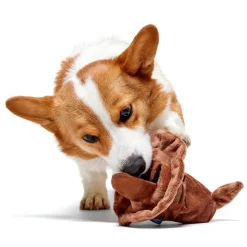 Bark Harry Potter Sorting Hat Knuffel met Bal