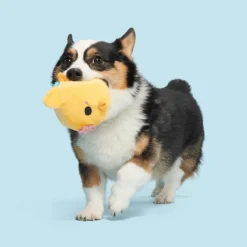 Bark Lil Hennifer Kuiken