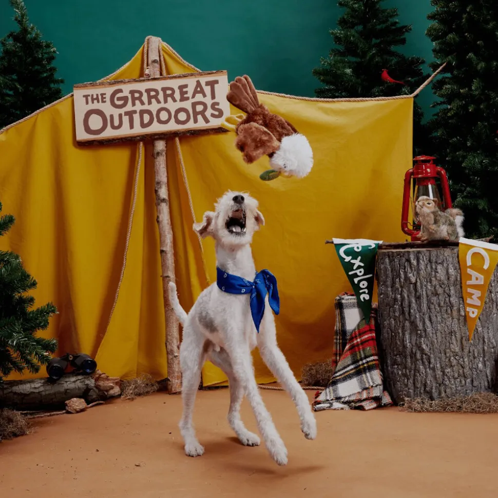 Bark Majestic Marty Arend met Vis