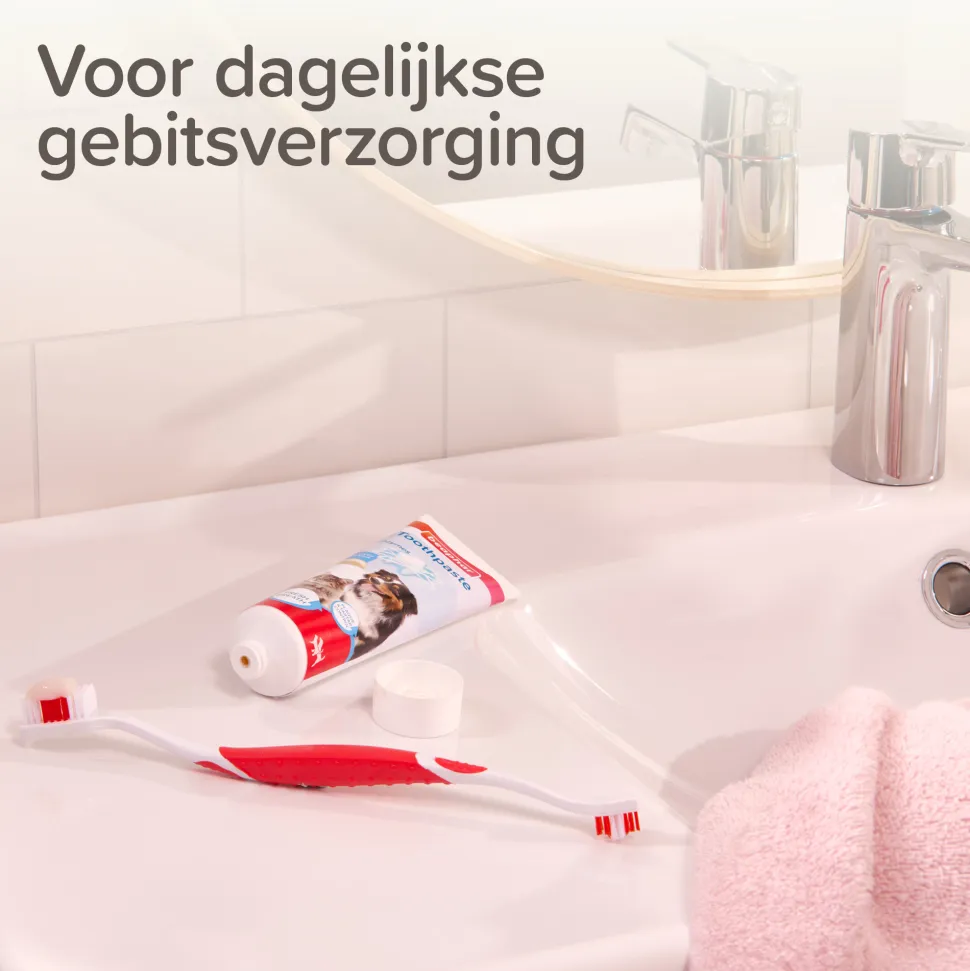 Beaphar Combi-pack Tandpasta + Tandenborstel