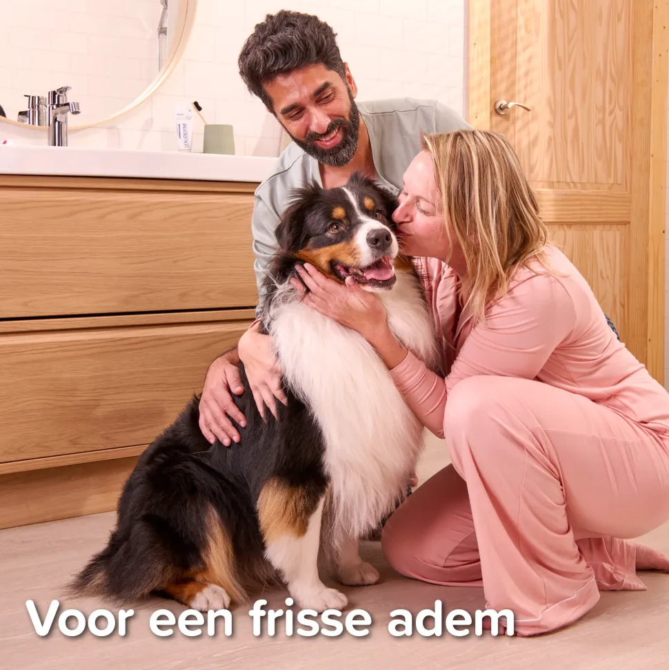 Beaphar Combi-pack Tandpasta + Tandenborstel