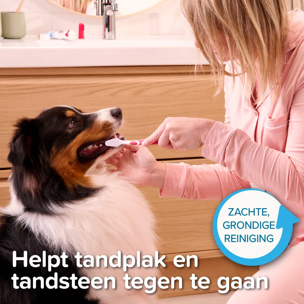 Beaphar Combi-pack Tandpasta + Tandenborstel