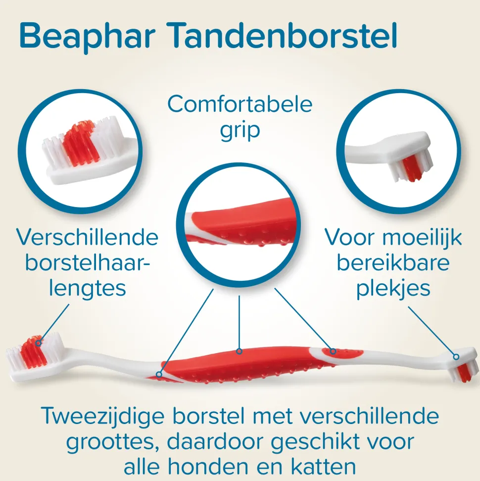 Beaphar Combi-pack Tandpasta + Tandenborstel
