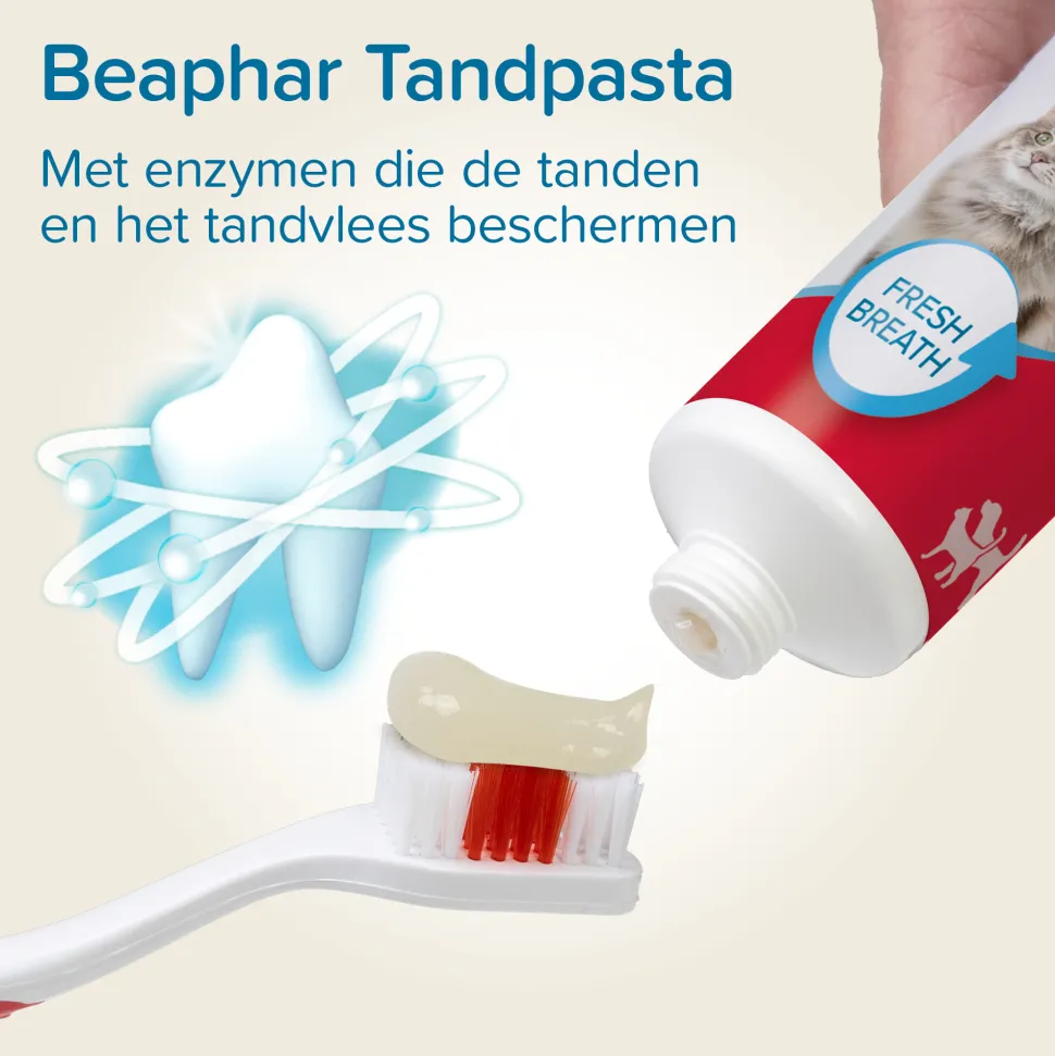 Beaphar Combi-pack Tandpasta + Tandenborstel