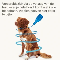 Beaphar FiproTec Spot-On Hond