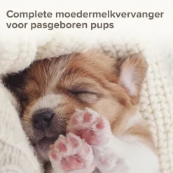 Beaphar Lactol Puppy Milk